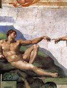 Adam was born CERQUOZZI, Michelangelo